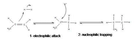 Electrophilic Addition Reactions of Alkenes | MCC Organic Chemistry