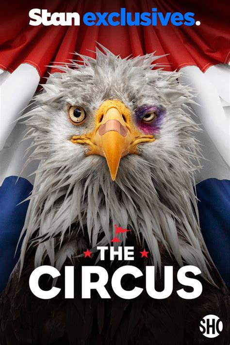 Watch The Circus Online | Now Streaming in HD | Only on Stan