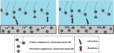 Amphoteric surfactant adsorption onto calcite and quartz surfaces ...