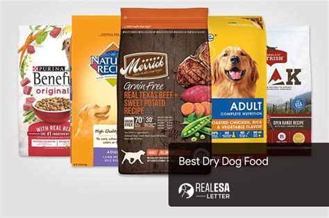 Best Dry Dog Food Brands for Large, Medium, and Small Dog in 2021 ...