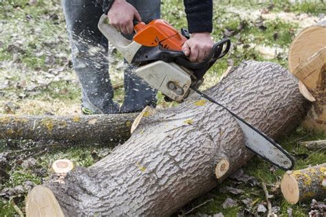 Man with Chainsaw Cutting the Tree Stock Photo - Image of professional ...