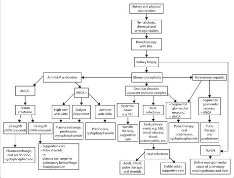 Pulmonary renal syndrome and emergency therapy. | Semantic Scholar