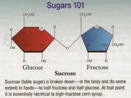 Sugars 101 - Fructose, Glucose, Sucrose, Agave, and High Fructose Corn ...