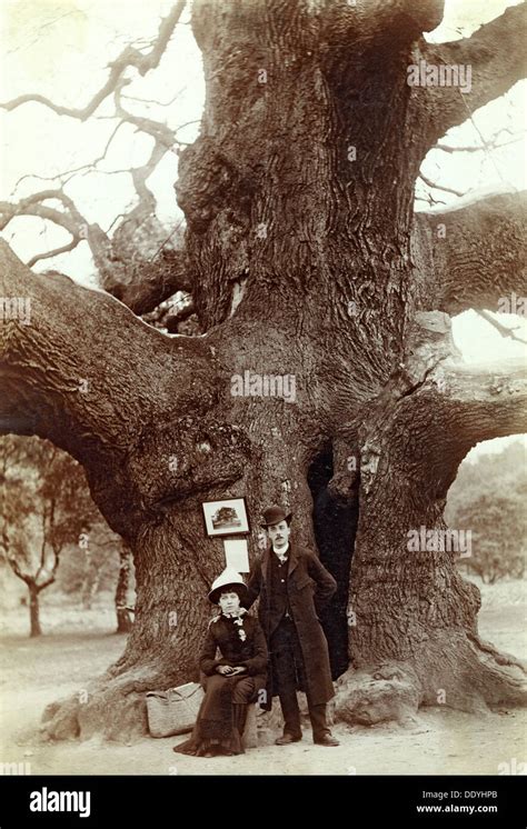 Major Oak, Edwinstowe, Sherwood Forest, Nottinghamshire, 1885. Artist ...