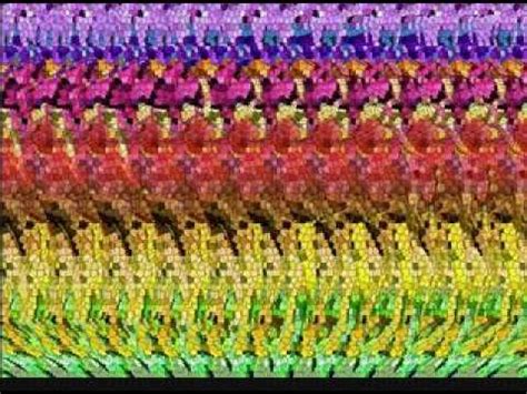 animal stereogram - YouTube