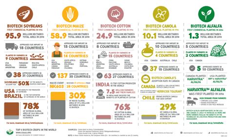 Where are GMO crops and animals approved and banned? - Genetic Literacy ...