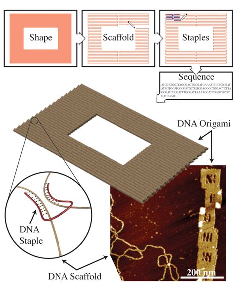 A Window on the Nanoscale - 2019 - Wiley Analytical Science