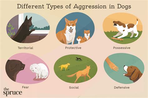 How To Handle Aggression In Dogs - Theatrecouple12