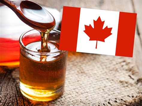 Canada to Tap Maple Syrup Reserves to Combat Supply Crisis