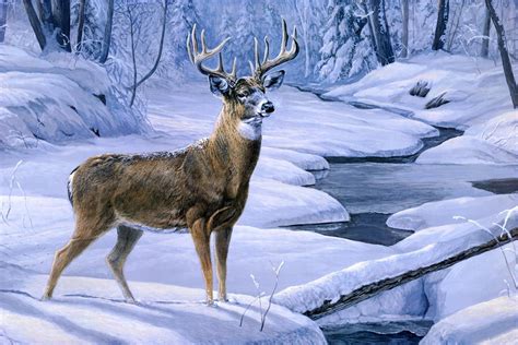 Free Wallpapers laura mark finberg november snow painting deer animal ...