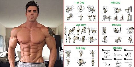 Total Body Workout Routine And How To Set Up Your Workout For Optimal ...