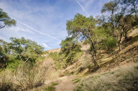 Hiking Trail In Hills Free Stock Photo - Public Domain Pictures