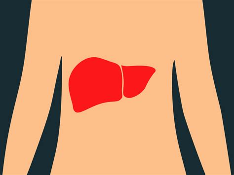 Nonalcoholic Fatty Liver Disease: Why You Might Get Liver Disease Even ...