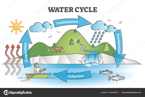 Sublimation Diagram Water Cycle