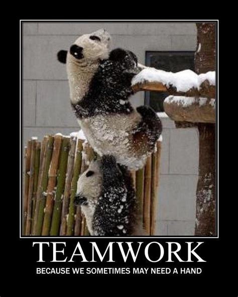 47 Inspirational Teamwork Quotes and Sayings with Images