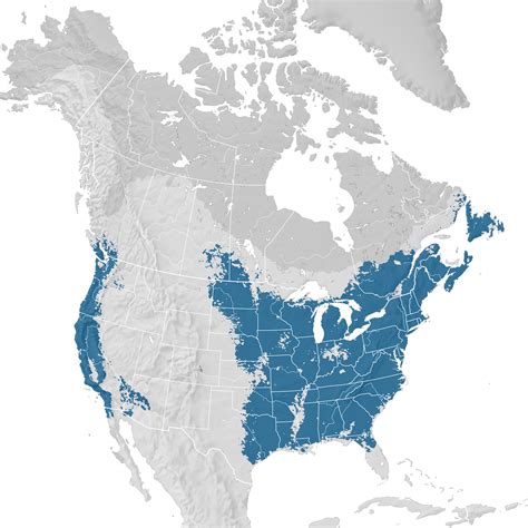 Purple Finch - Range map: Non-breeding - eBird Status and Trends