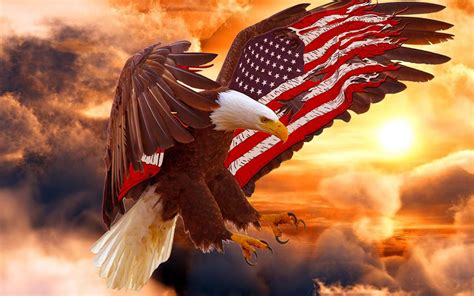 USA Eagle Wallpapers - Wallpaper Cave