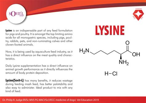 Benefits of Lysine, An Essential Amino Acid - Protein - Diamond Drugs