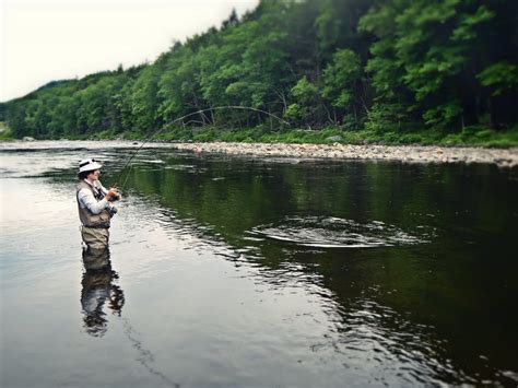 Massachusetts Fly Fishing - Trout Haven