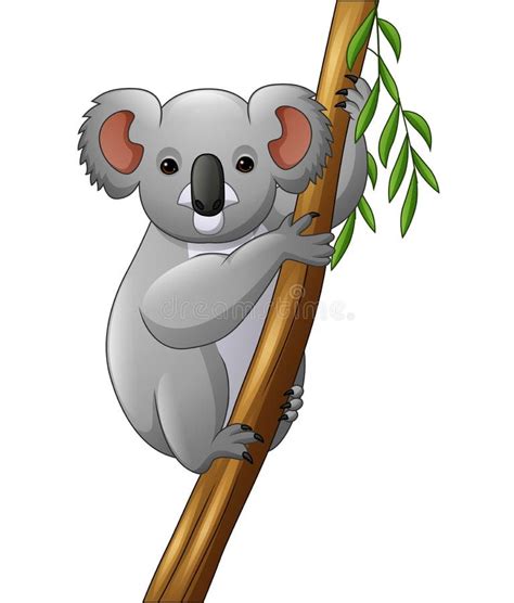 Koala Climbing Tree Stock Illustrations – 175 Koala Climbing Tree Stock ...