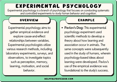 Experimental Psychology: 10 Examples & Definition (2024)