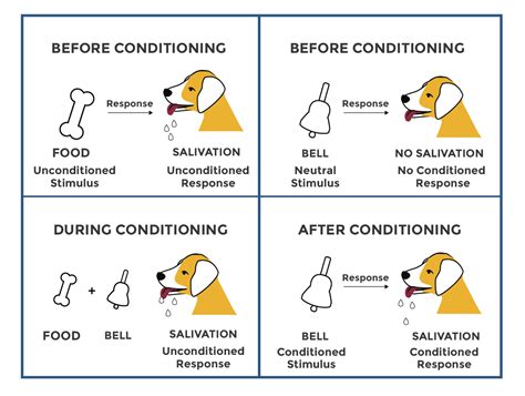 The Pavlov Dog Experiment — Admitted: The Proven Guide to Get Into Your ...