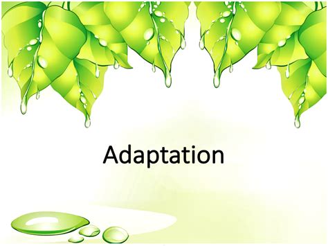 Adaptation | Teaching Resources