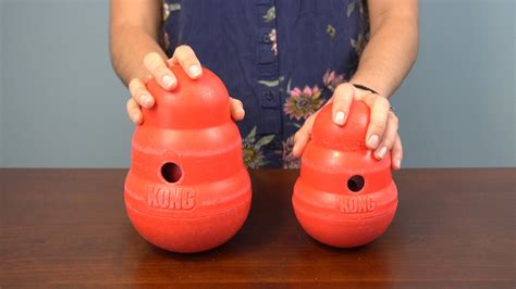 Kong Wobbler Review — hazeldog