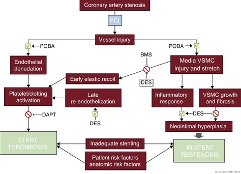 A Brief History of Coronary Artery Stents | Revista Española de Cardiología