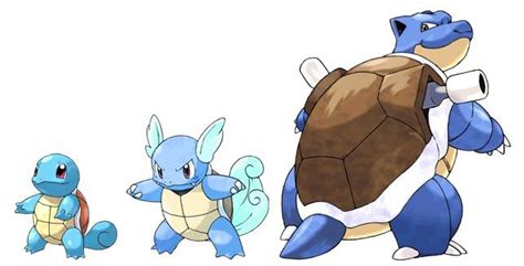 Squirtle - Wartortle - Blastoise | Evolution art, Pokemon, Pokemon project