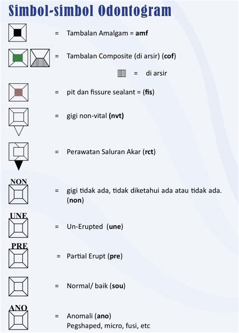 Panduan Lengkap Pengisian Odontogram: Langkah Demi Langkah - Info DRG