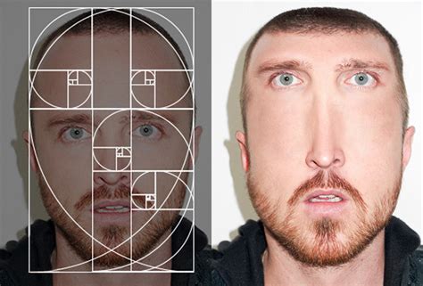 the golden ratio turns famous faces into fibonacci celebrities