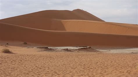 Free download | HD wallpaper: desert, namib, sand, dunes, dry, namib ...