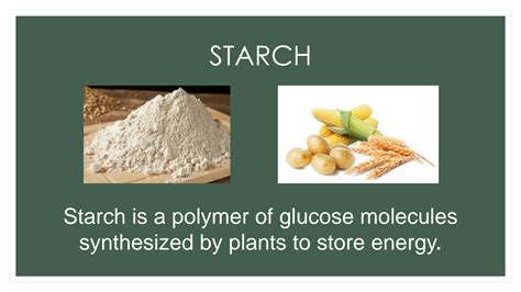 SOLUTION: Presentation on starch synthesis - Studypool