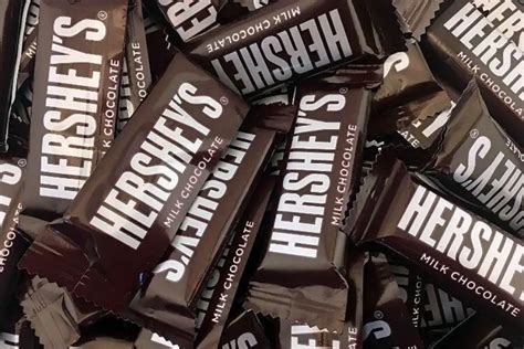 Top 15 Chocolate Brands That You Must Know