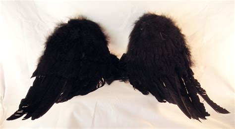 FREE STOCK, Gothic Wings 1 by mmp-stock on DeviantArt