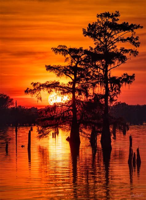 Bayou Sunset | The sun peeking through the branches of a cyp… | Flickr