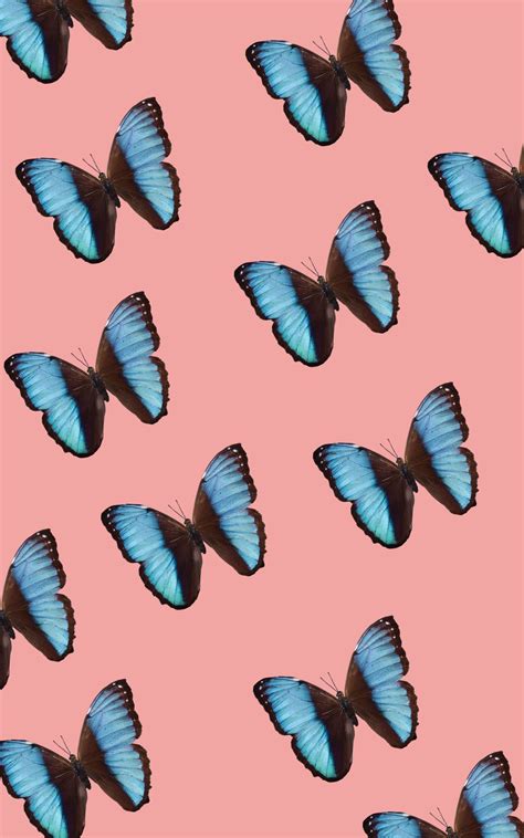 Butterfly Aesthetics Wallpapers - Wallpaper Cave