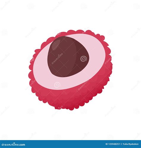 Rambutan Icon in Cartoon Style Stock Illustration - Illustration of ...