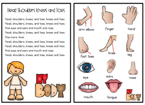 Head Shoulders Knees and Toes Song ~ Preschool Printables