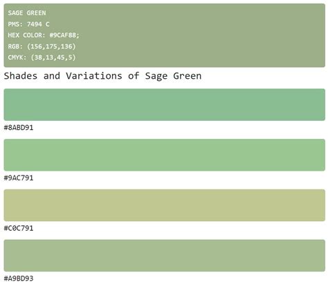 All About Sage Green Color - Silber Consulting