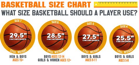 Basketball Sizes: The Definitive Guide to Choosing the proper one