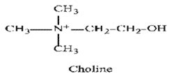 Choline chloride - Engormix