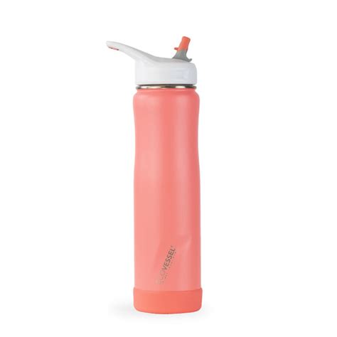 Insulated Straw Water Bottle - Reusable Stainless Steel Bottle with ...