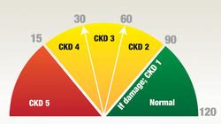 Creatinine and eGFR - eKidney Clinic