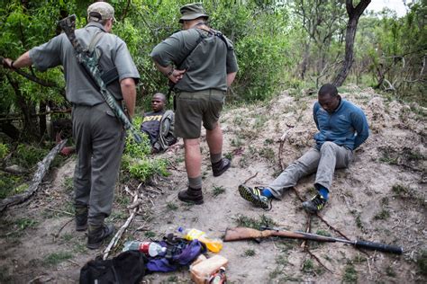 Kruger Park, South Africa: Where Black Poachers Are Hunted as Much as ...