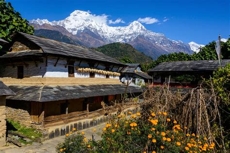 Pokhara to Ghandruk - Best Routes & Travel Advice | kimkim