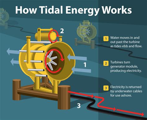 Tidal Energy: Generation, Working, Advantages & Disadvantages | Tidal ...