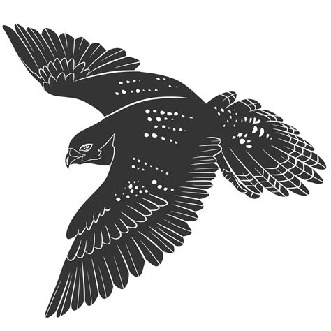 Falcon Bird Vector 25792029 Vector Art at Vecteezy