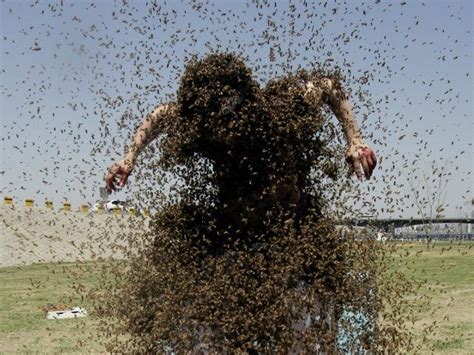 Swarm of Bees Attack Migrant Mother, Child at Texas Border | Migrant ...